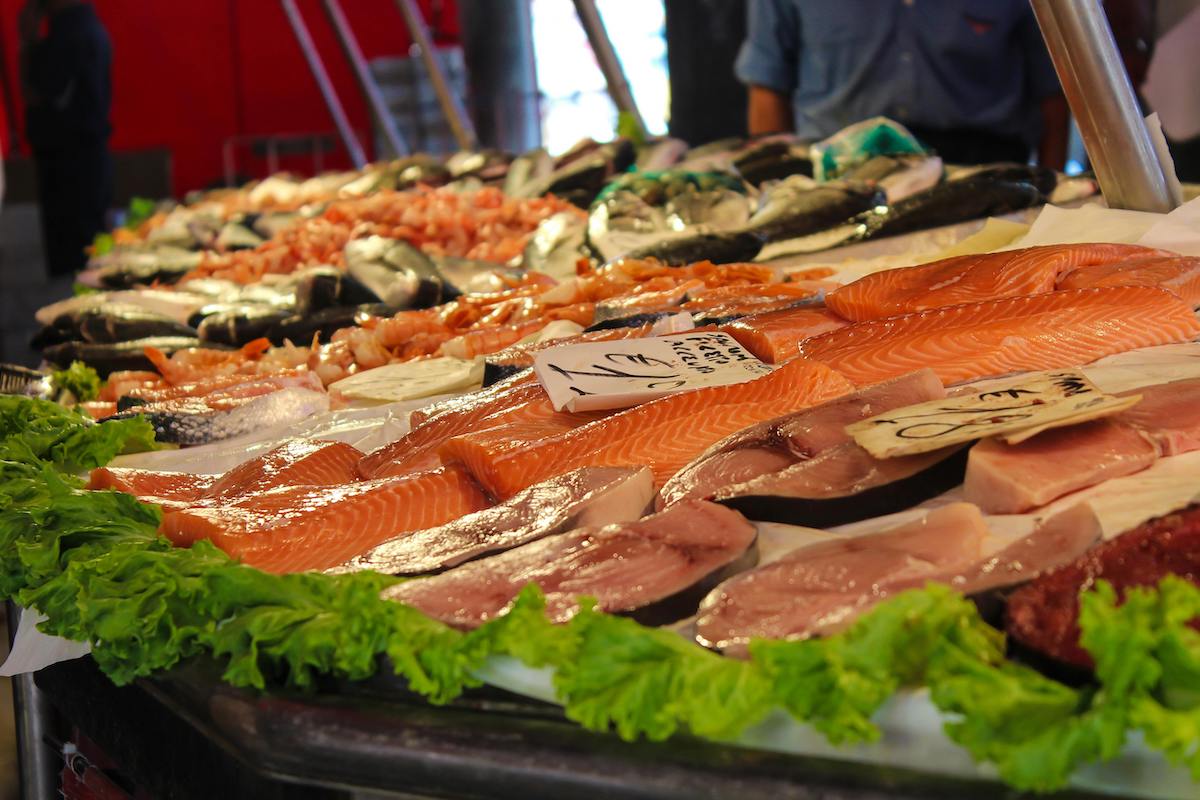 Vocabulario Pescado y Marisco en Ingles y Español